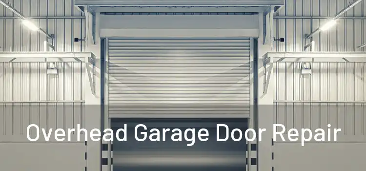  Overhead Garage Door Repair 
